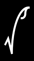 Veri-Serve Logo